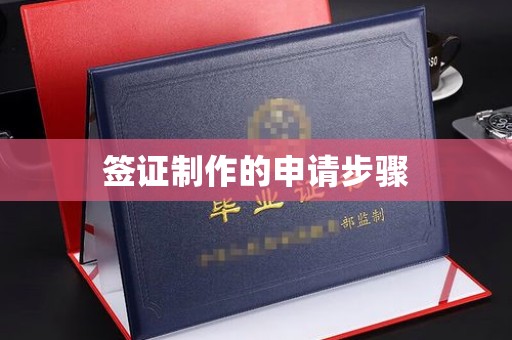 埇桥签证制作的申请步骤