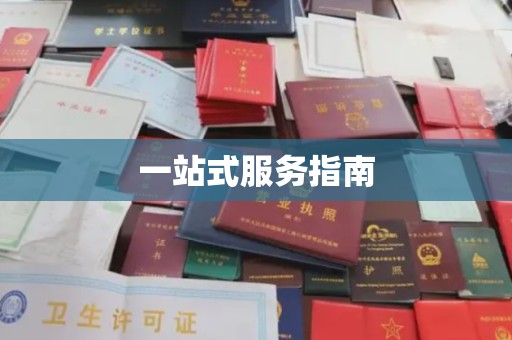 埇桥一站式服务指南