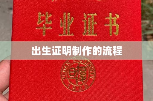 埇桥出生证明制作的流程